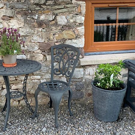 The Reindeer Retreat Buttercup Twin Hotell Kidwelly Exteriör bild