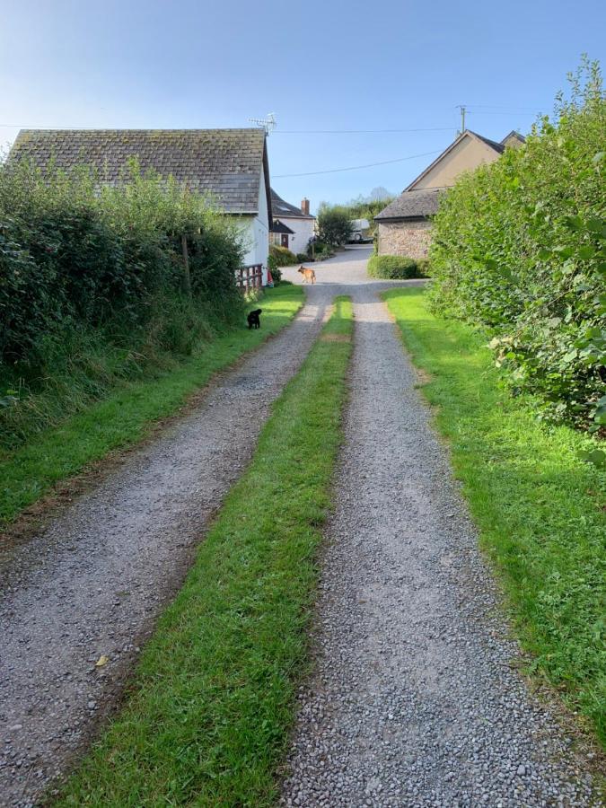 The Reindeer Retreat Buttercup Twin Hotell Kidwelly Exteriör bild