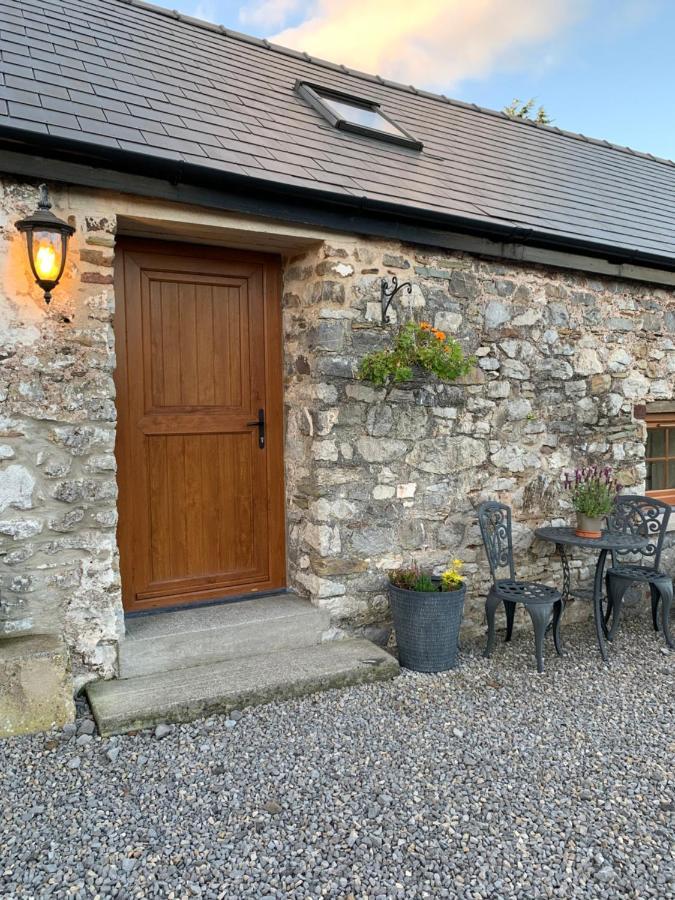 The Reindeer Retreat Buttercup Twin Hotell Kidwelly Exteriör bild